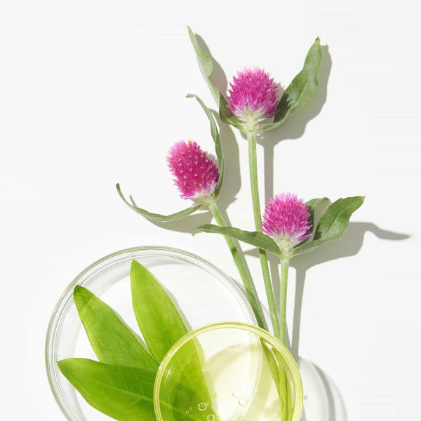 Image representing clean ingredients in our Yep Lash XL eyelash serum - Peptides, Biotin, Panthenol, and Red Clover Extract for healthy and longer-looking lashes!