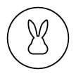 Cruelty free